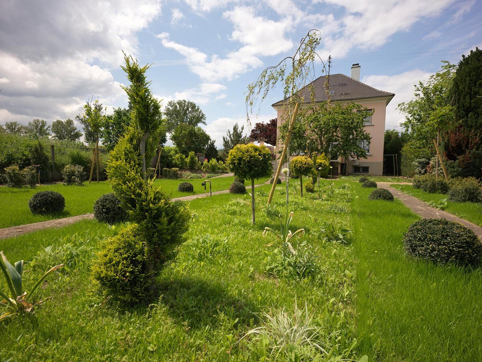 B&B Villa Fink Ostheim Exteriör bild